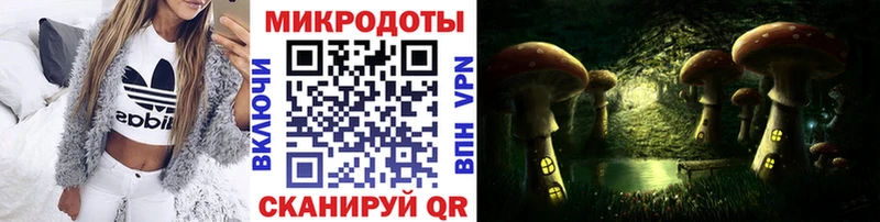 ОМГ ОМГ вход  Аша  Галлюциногенные грибы Cubensis 