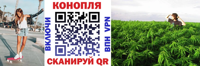 Шишки марихуана планчик Аша